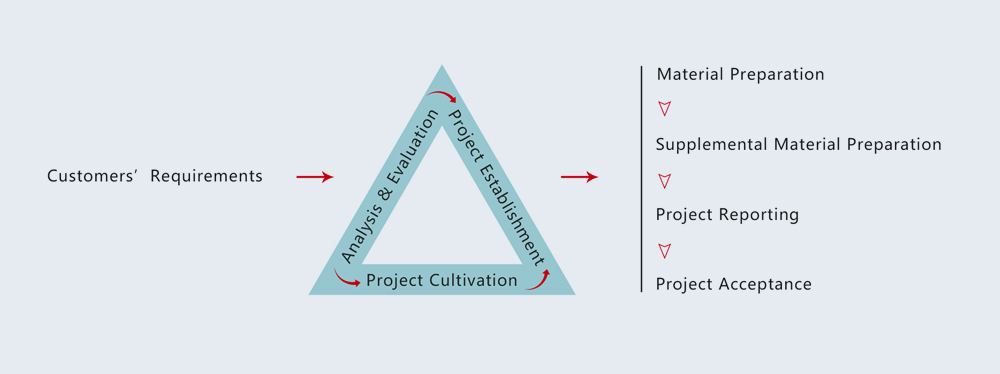 Project Service Process